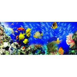 Алмазная мозаика подводный мир рыбы 35*110см по номерам